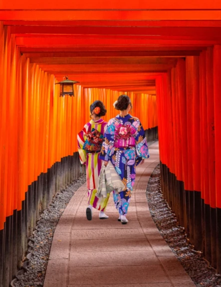 Image paste-in-japonia-8029